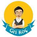 Gri Koç Yayınları