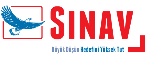 Sınav Yayınları 