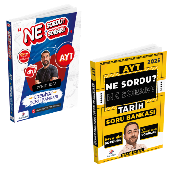 Dizgi Kitap 2025 Ne Sordu Ne Sorar AYT Edebiyat ve Tarih Soru Bankası Seti