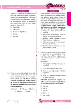 Dizgi Kitap 2026 MEB-AGS ÖABT Uğur Böceği Okul Öncesi Öğretmenliği Tamamı PDF Çözümlü 16 Branşta Tam Ölçülü Deneme - Sema Yayan