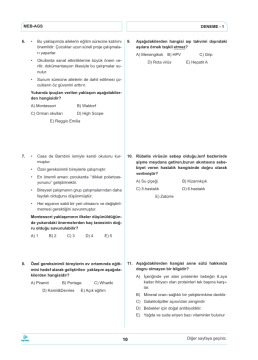 Dizgi Kitap 2026 Meb Ags ÖABT Okul Öncesi Öğretmenliği Tamamı Video Çözümlü 10 Star Deneme Onur Teke