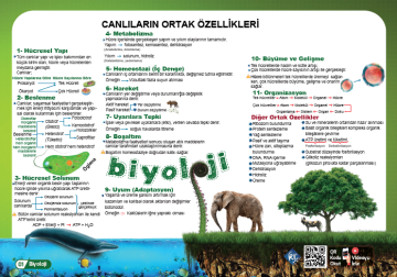 KR Akademi YKS TYT Biyoloji Poster Notlar