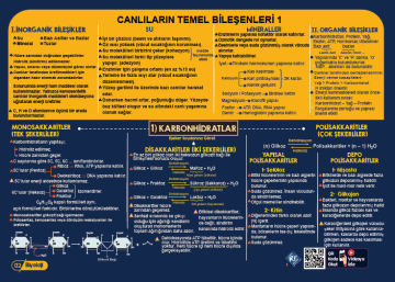 KR Akademi YKS TYT Biyoloji Poster Notlar