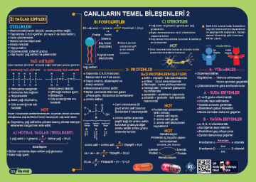 KR Akademi YKS TYT Biyoloji Poster Notlar
