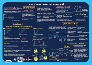 KR Akademi YKS TYT Biyoloji Poster Notlar