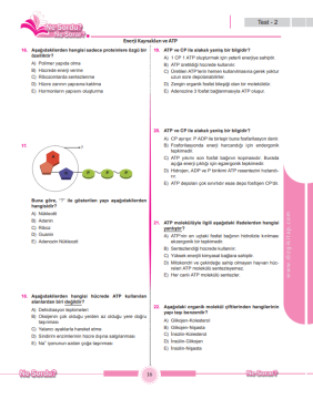 Dizgi Kitap Meb Ags Öabt Beden Eğitimi Öğretmenliği Ne Sordu Ne Sorar Sağlık Dersleri Soru Bankası Emirhan Beyazıt